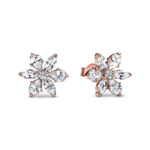 Pandora Sparkling Herbarium Cluster Rose Stud Σκουλαρίκια