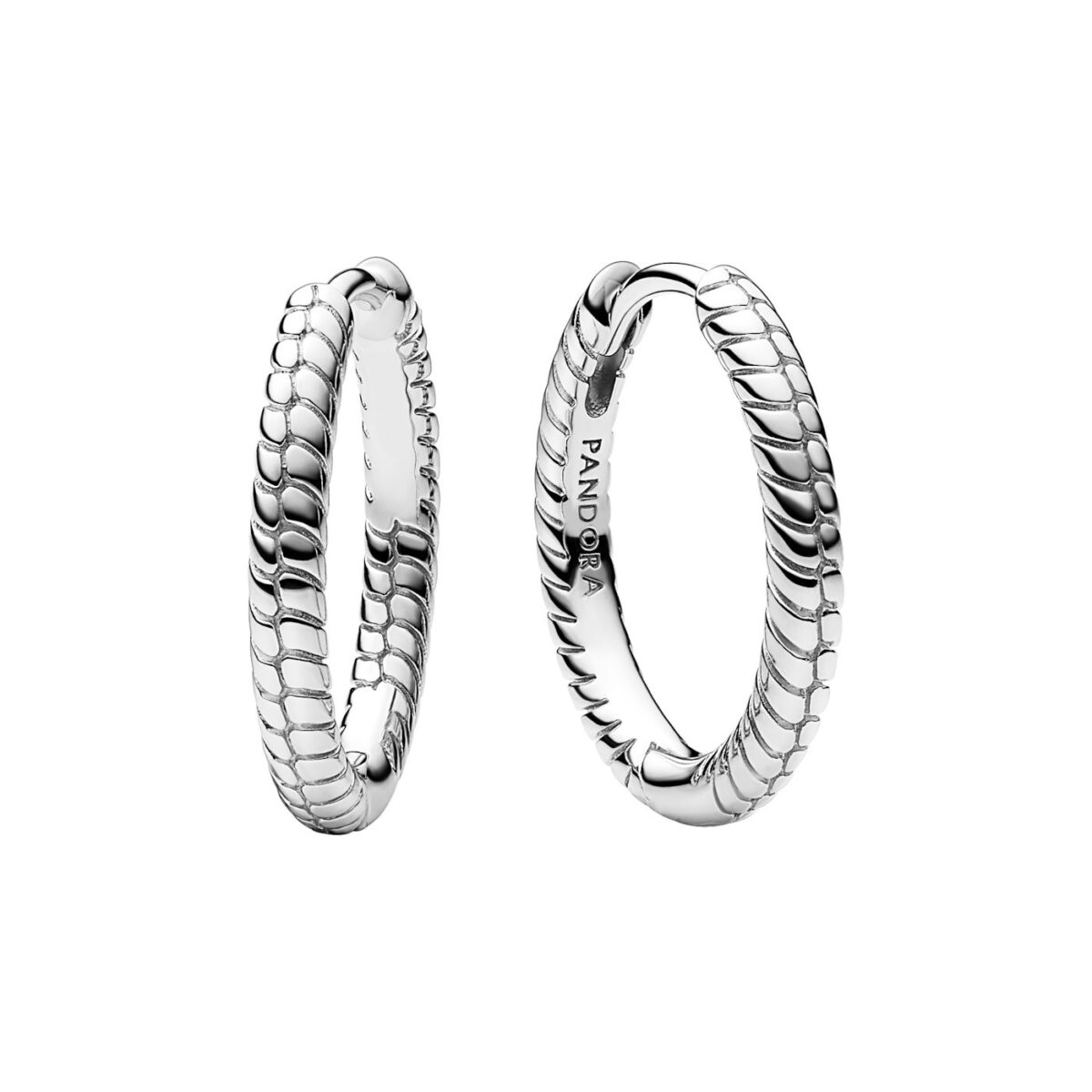 Pandora Σκουλαρίκια Ασήμι 925 Κρίκοι - Image 1